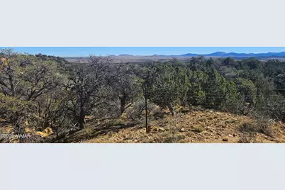 4 County Road, Concho, AZ 85924 - Photo 1