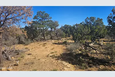 4 County Road, Concho, AZ 85924 - Photo 25