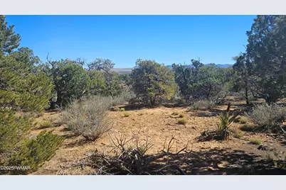 4 County Road, Concho, AZ 85924 - Photo 21