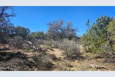 4 County Road, Concho, AZ 85924 - Photo 19