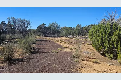 4 County Road, Concho, AZ 85924 - Photo 5