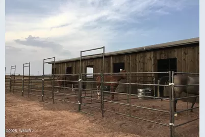 7545 E Sherwood Lane, Snowflake, AZ 85937 - Photo 3