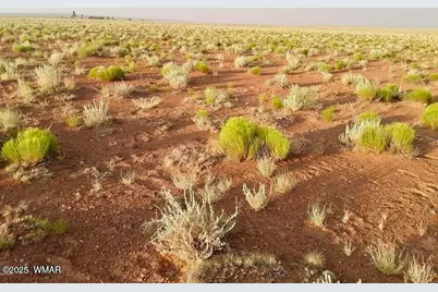Tbd Hodges Ln 39.05 Acres, Holbrook, AZ 86025 - Photo 9