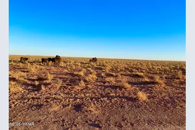 Tbd Hodges Ln 39.05 Acres, Holbrook, AZ 86025 - Photo 3