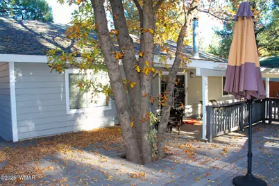 5160 Black Panther Loop, Pinetop, AZ 85935 - Photo 5