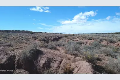5280 Concho Ocho Road, Snowflake, AZ 85937 - Photo 31