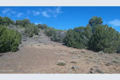 142 County Road 8020, Concho, AZ 85924 - Photo 19