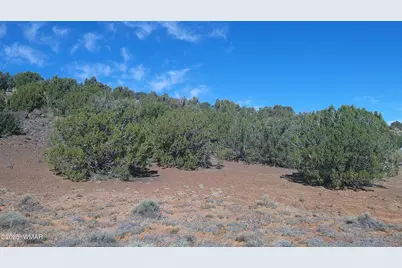 142 County Road 8020, Concho, AZ 85924 - Photo 13