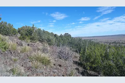 142 County Road 8020, Concho, AZ 85924 - Photo 15