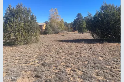 2287 Meadow Lane, Overgaard, AZ 85933 - Photo 1