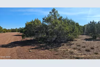 41 Acr 3119, Vernon, AZ 85940 - Photo 13