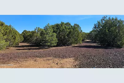 41 Acr 3119, Vernon, AZ 85940 - Photo 11