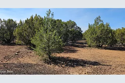 41 Acr 3119, Vernon, AZ 85940 - Photo 9