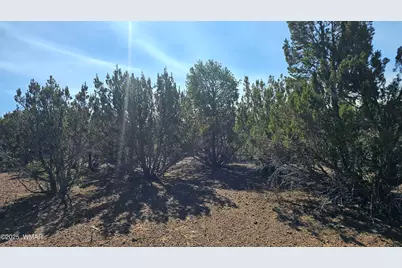 41 Acr 3119, Vernon, AZ 85940 - Photo 15