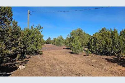 41 Acr 3119, Vernon, AZ 85940 - Photo 7