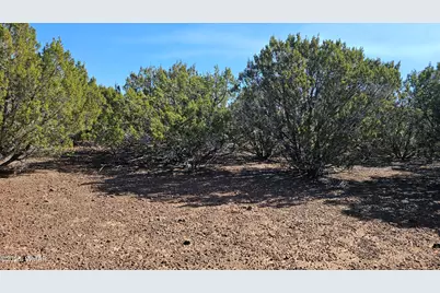 41 Acr 3119, Vernon, AZ 85940 - Photo 1