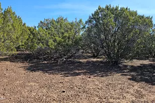 41 Acr 3119, Vernon, AZ 85940 - Photo 1