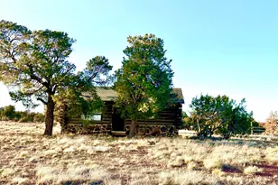 280 Cr N8355 (201-48-137A), Concho, AZ 85924 - Photo 39