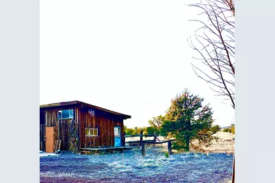 280 Cr N8355 (201-48-137A), Concho, AZ 85924 - Photo 9