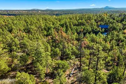 1920 S Pleasant View Drive, Show Low, AZ 85901 - Photo 15