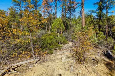 1920 S Pleasant View Drive, Show Low, AZ 85901 - Photo 3