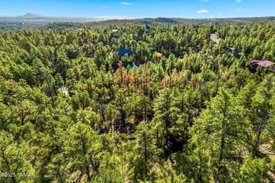 1920 S Pleasant View Drive, Show Low, AZ 85901 - Photo 13