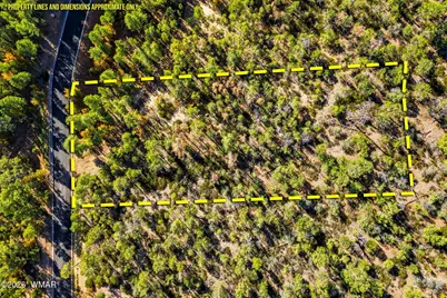 1920 S Pleasant View Drive, Show Low, AZ 85901 - Photo 13