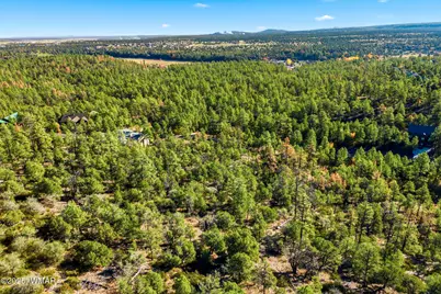 1920 S Pleasant View Drive, Show Low, AZ 85901 - Photo 9