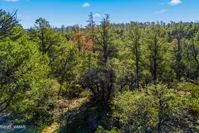 1920 S Pleasant View Drive, Show Low, AZ 85901 - Photo 15