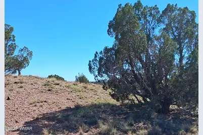 268 N 5383, Concho, AZ 85924 - Photo 9