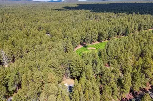 7510 Geronimo Rd, Pinetop, AZ 85935 - Photo 39