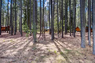 7510 Geronimo Rd, Pinetop, AZ 85935 - Photo 37