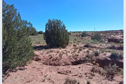 268 N 5380, Concho, AZ 85924 - Photo 7