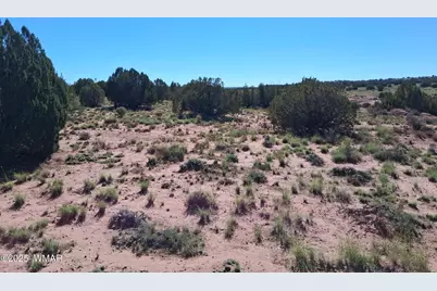 268 N 5380, Concho, AZ 85924 - Photo 11