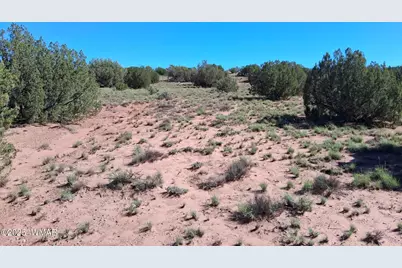 236 N9233 SE, Concho, AZ 85924 - Photo 1