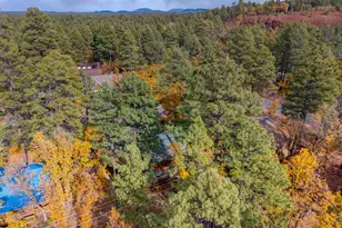 3978 E Bermuda Cir, Pinetop, AZ 85935 - Photo 25