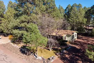 4901 S 30th St, Show Low, AZ 85901 - Photo 25