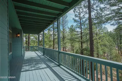 3041 W Simon Circle, Show Low, AZ 85901 - Photo 59