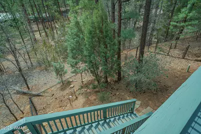 3041 W Simon Circle, Show Low, AZ 85901 - Photo 61