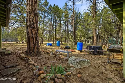 2887 Center Road, Overgaard, AZ 85933 - Photo 3