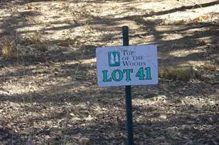 2553 Willow Way, Lakeside, AZ 85929 - Photo 1