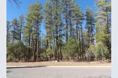 2553 Willow Way, Unit 41 #41, Lakeside, AZ 85929 - Photo 3