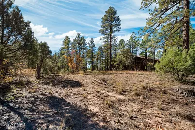 4531 W Fox Glove Lane, Show Low, AZ 85901 - Photo 3