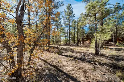 4531 W Fox Glove Lane, Show Low, AZ 85901 - Photo 5