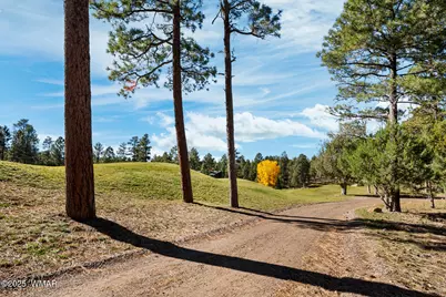 4531 W Fox Glove Lane, Show Low, AZ 85901 - Photo 7