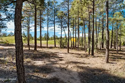 4531 W Fox Glove Lane, Show Low, AZ 85901 - Photo 9