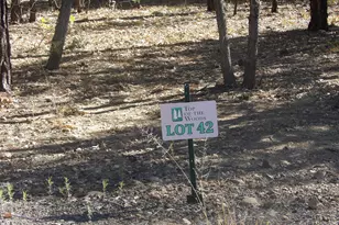 2521 Willow Way, Pinetop, AZ 85935 - Photo 1