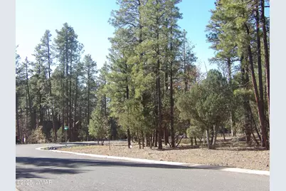 2521 Willow Way, Pinetop, AZ 85935 - Photo 3