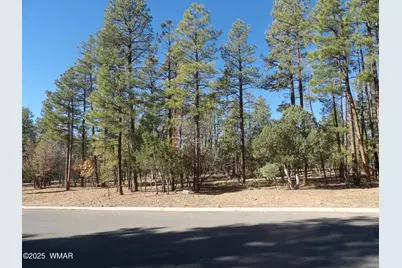 2522 Aspen Run, Unit 59 #59, Pinetop, AZ 85935 - Photo 3
