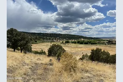 Tbd State Highway 261, Eagar, AZ 85925 - Photo 3